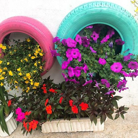דה לאט Thu Linh Guesthouse מראה חיצוני תמונה