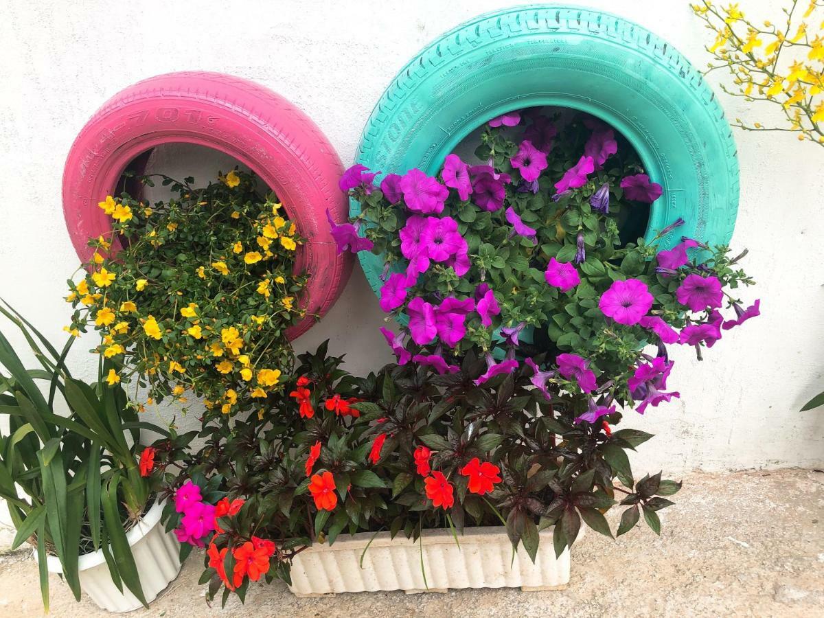 דה לאט Thu Linh Guesthouse מראה חיצוני תמונה